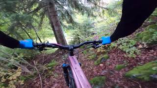 The Petit Arc Adventure with Komoot - Trail Taster