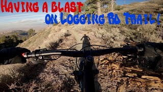 Logging Rd Trail Guide!