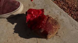 Sledge Hammer Vs 5POUND GUMMY BEAR (ENDING WAS...