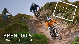 A DOGS LIFE - S2 Ep 3 - EPIC WALES ROAD TRIP!!