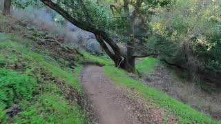 Chisnantuk Peak Trail