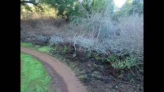 Rancho Cañada del Oro, 20+ minute DH on this run