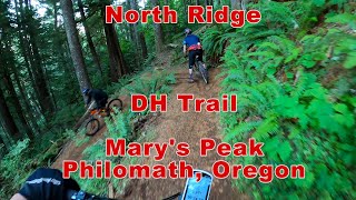 North Ridge DH Trail || Mary's Peak Philomath,...