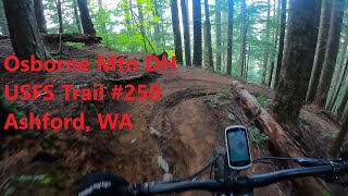 Downhill Woods Flow || Lower Osborne Mountain...