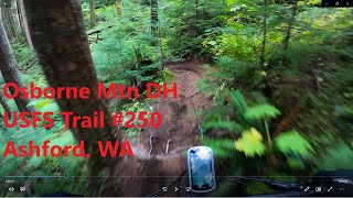 Dark Forest Singletrack || Lower Osborne...