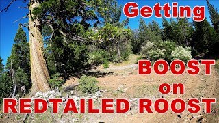 Getting a Boost on Redtailed Roost DH || 2019...