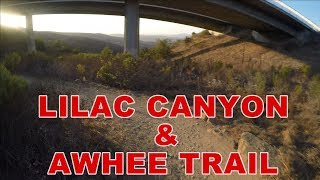 Black Mountain Park: Lilac Canyon and Ahwee Trails