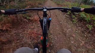 Tiny jump on laburnum access road