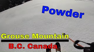 Blue bird powder day, kind of | Grouse...