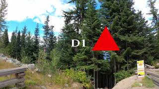 Riding some fun trails in Whistler Bike Park
