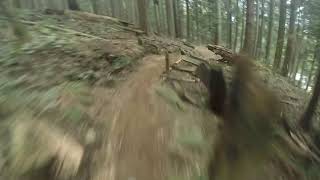 Lower Ladies/Mt Fromme BC