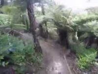 Arch Hill Reserve MTB - Twist & Shout
