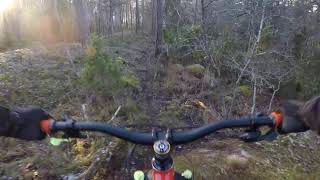 Swedish MTB Trail - Stenbocken