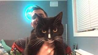 Live Natter Time Q&A #7