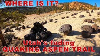 Utah's Quaking Aspen Trail || Route Finding...