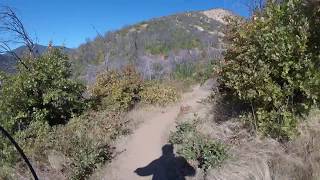 Sasquatch trail 3 Rogue River Oregon 10/14/17