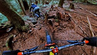 The Newest Legal Trails on the Shore
