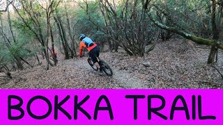 MTB Roveta 18.12.2021 sentiero BOKKA