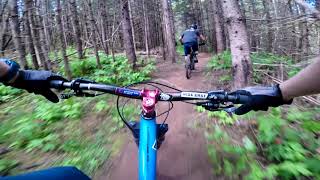 Brookvale PEI Mountain Biking - Plamu