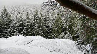 Bear Mountain, Mission BC - Lorax: Winter Ride