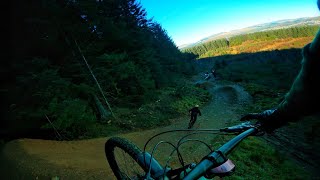 TRYING THE “PRO LINE’S” AT BIKEPARK WALES