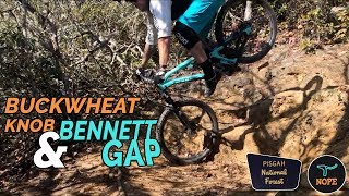 ROOTY AND LEAFY - Mountain Biking Bennett Gap...