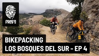BikePacking Los Bosques del Sur - EP 4