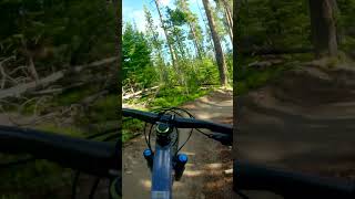 Mountain to Meadows, Part 1