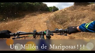 Monte Brujo, Guayama 'Peluuuuuu' 2021
