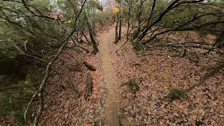 Pietra di confine + X-Trail - Roveta Trail Center