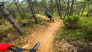 MTB TRAIL RÁPIDO y con MÁS FLOW de TREMP...