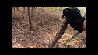 When Trees Attack! MTB Fails in Wharton State...