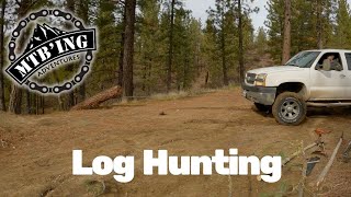 We Got Wood-Trail Building