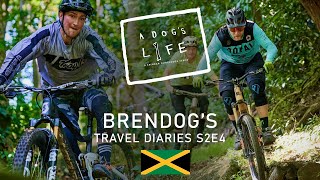 A DOGS LIFE - S2 Ep4 Exploring the insane...