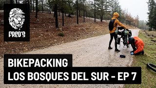 BikePacking Los Bosques del Sur - EP 7