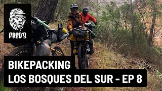 BikePacking Los Bosques del Sur - EP 8