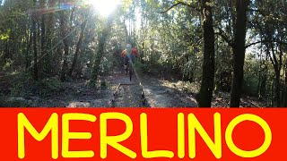 MTB Montalbano 31.12.2021 sentiero MERLINO e...