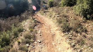 Oraiokastro mtb 'Pig' trail