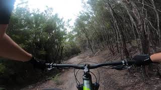 JackJumper onto GoldRush - Wild Mersey