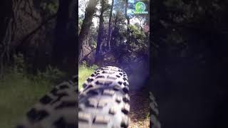 #Shorts Flow trail tribute. MTB in Greece!