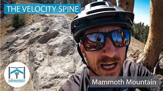 UNP79 - The Velocity Spine - Adaptive MTB -...
