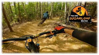 Follow Cam dans la Swamp Donkey