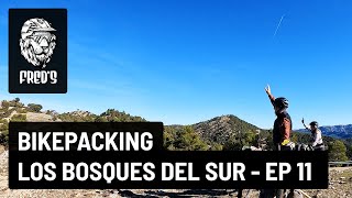 BikePacking Los Bosques del Sur - EP 11