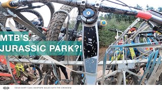 SO many trails, at Bikepark Wales! (Poem)