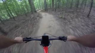 Haw Creek - 6/27