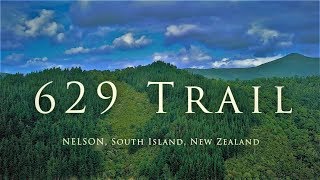 Steep 629 Trail, Nelson, New Zealand