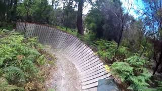 Old Penguin Loop