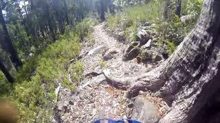 Ginger Ridge