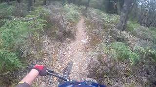 Mt Stronach DH Track