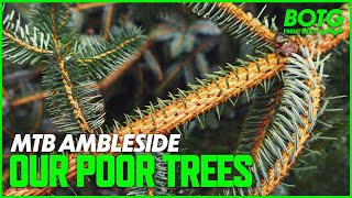   MTB AMBLESIDE - THE FORESTS ARE WRECKED :(...